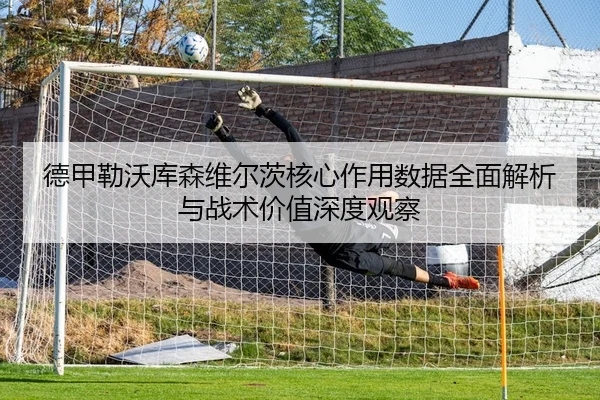 德甲勒沃库森维尔茨核心作用数据全面解析与战术价值深度观察