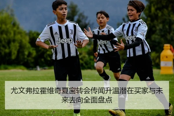 尤文弗拉霍维奇夏窗转会传闻升温潜在买家与未来去向全面盘点