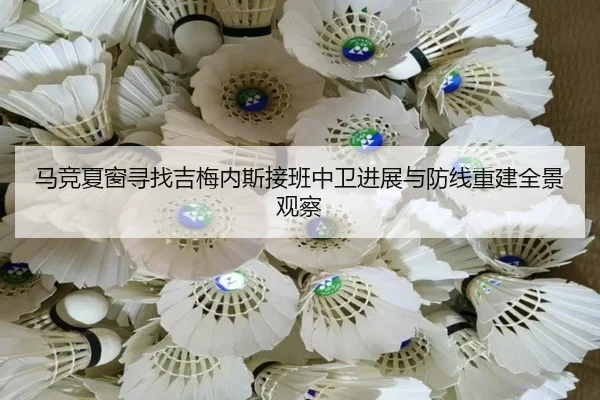 马竞夏窗寻找吉梅内斯接班中卫进展与防线重建全景观察