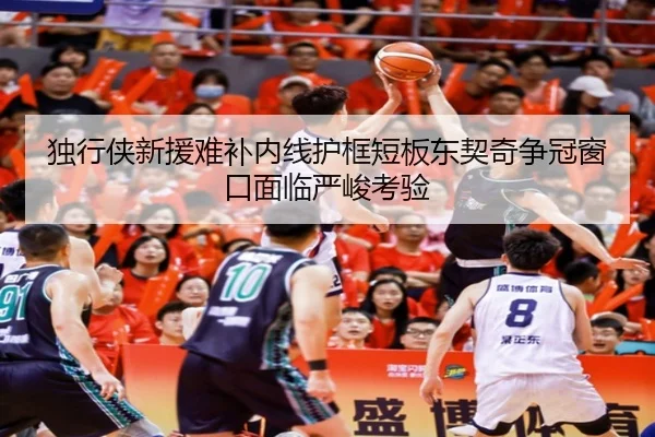 独行侠新援难补内线护框短板东契奇争冠窗口面临严峻考验